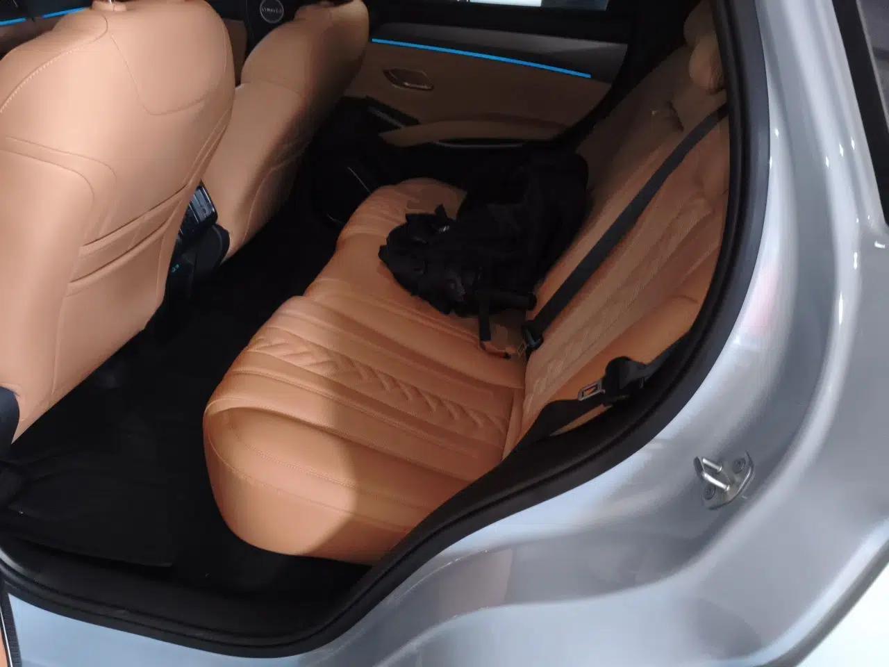 BYD Song L DM-i 2024 160 km Excellence Version — миниатюра 18