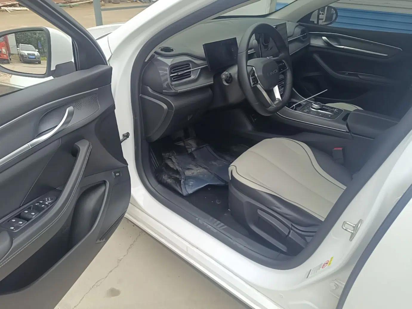 BYD Destroyer 05 2023 Champion Edition DM-i 55KM Luxury Model — миниатюра 19
