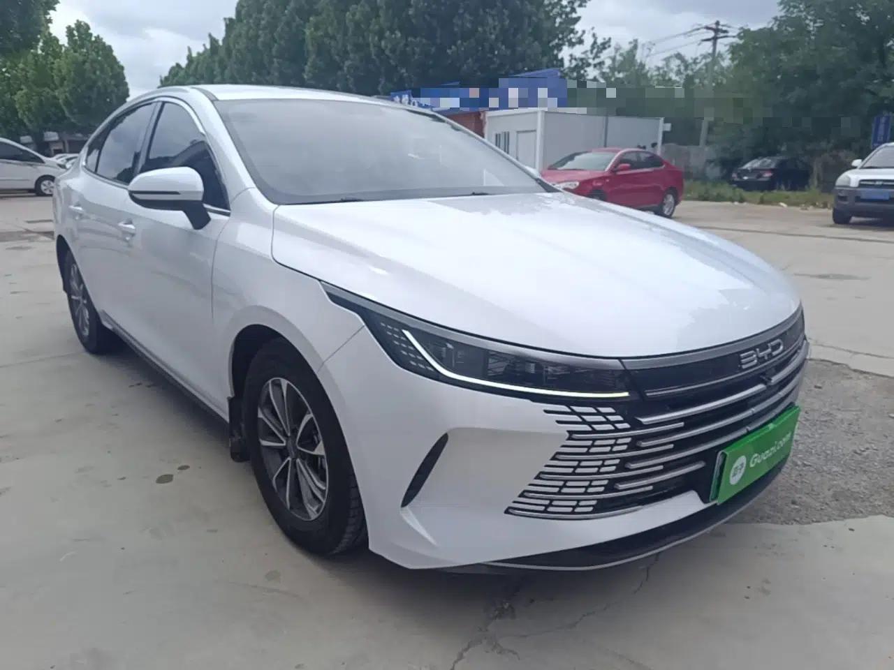 BYD Destroyer 05 2023 Champion Edition DM-i 55KM Luxury Model — миниатюра 3