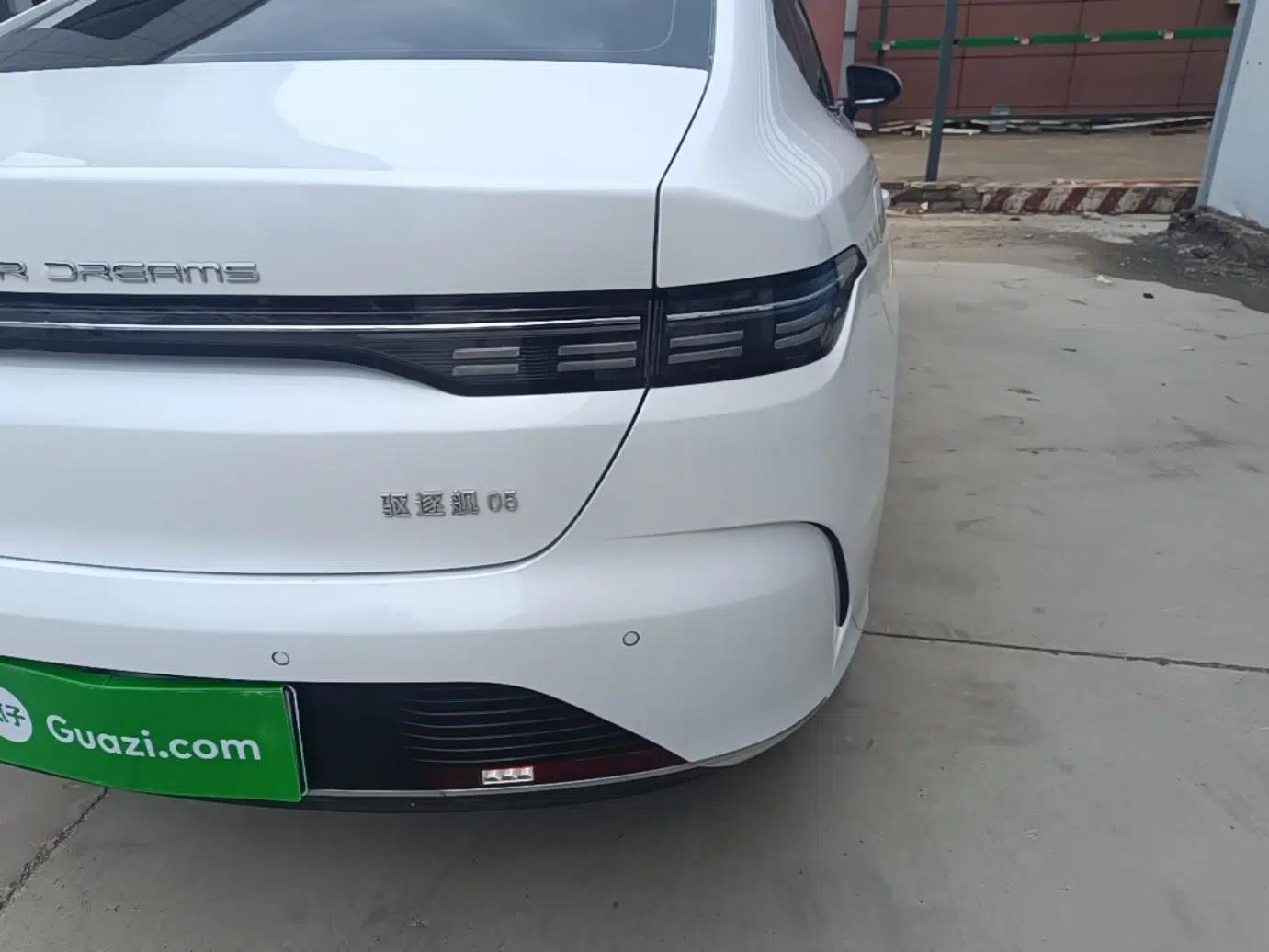 BYD Destroyer 05 2023 Champion Edition DM-i 55KM Luxury Model — миниатюра 7
