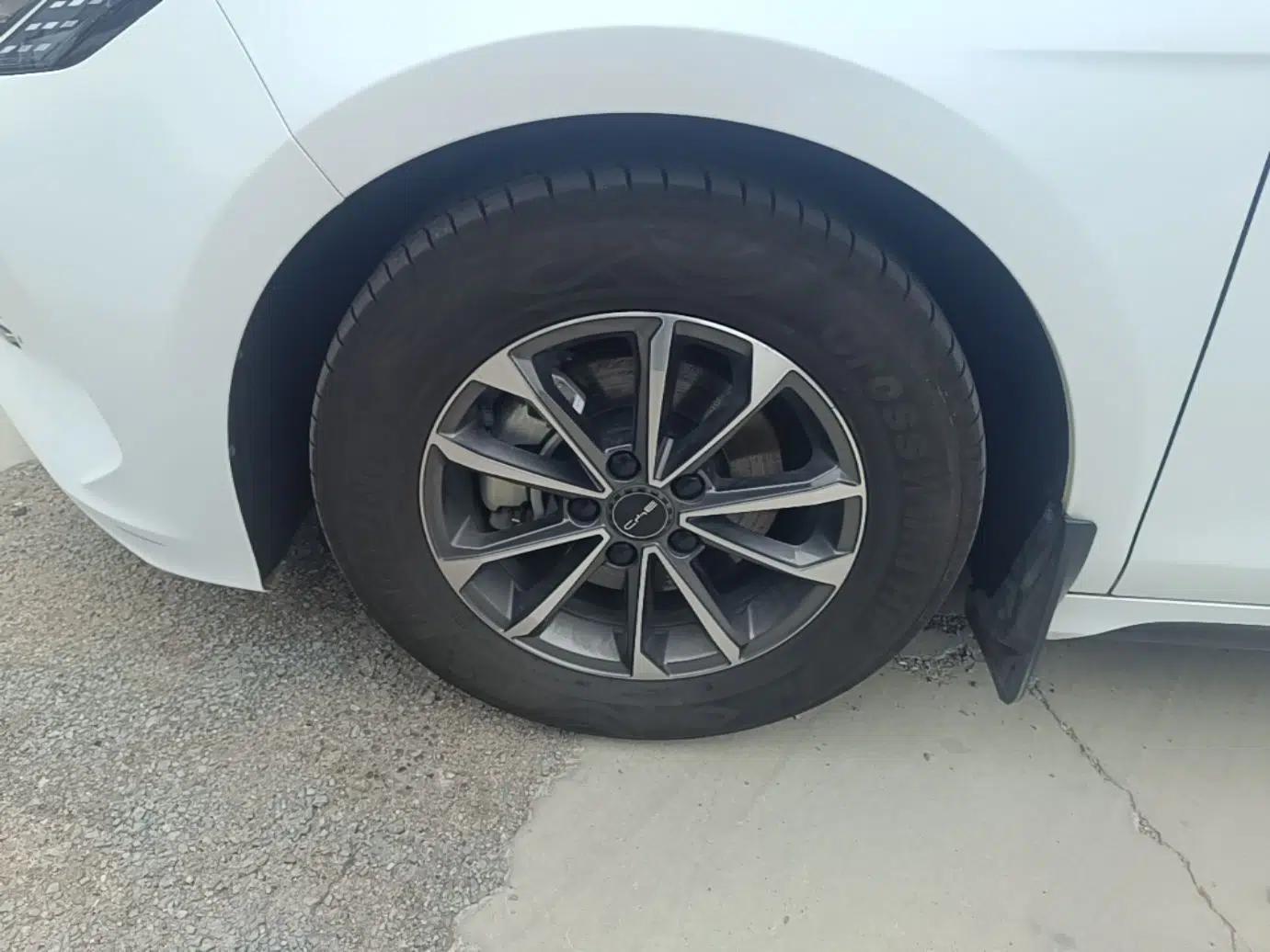 BYD Destroyer 05 2023 Champion Edition DM-i 55KM Luxury Model — миниатюра 8