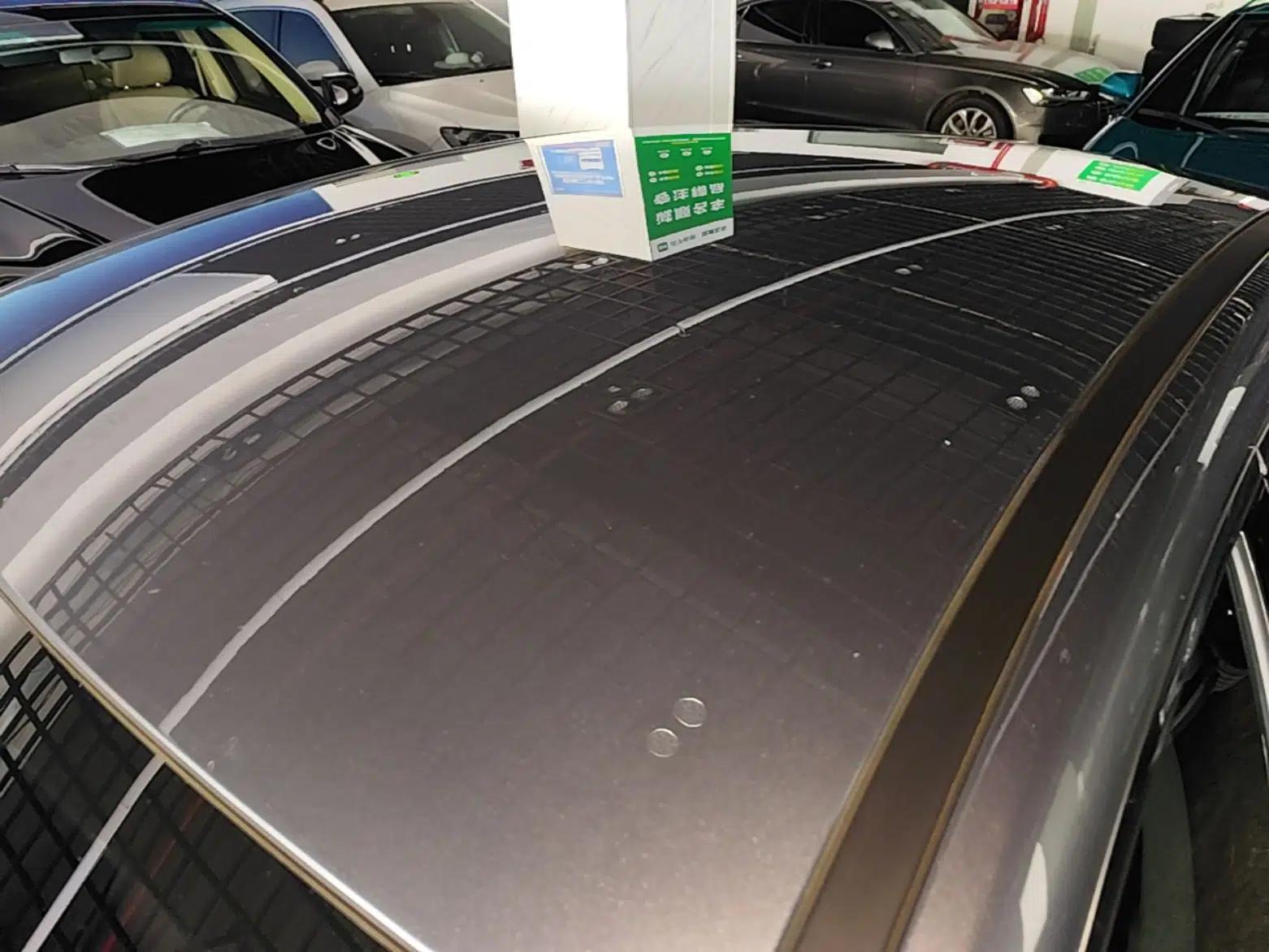 BYD Destroyer 05 2024 HONOR Edition DM-i 55KM Luxury Model — миниатюра 11