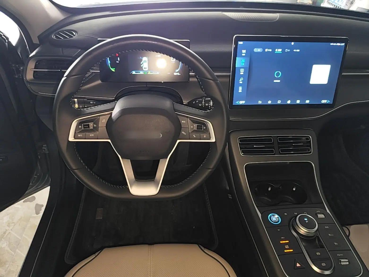 BYD Destroyer 05 2024 HONOR Edition DM-i 55KM Luxury Model — миниатюра 14