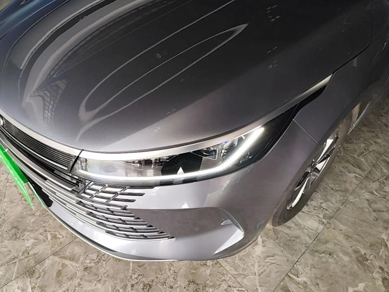 BYD Destroyer 05 2024 HONOR Edition DM-i 55KM Luxury Model — миниатюра 9