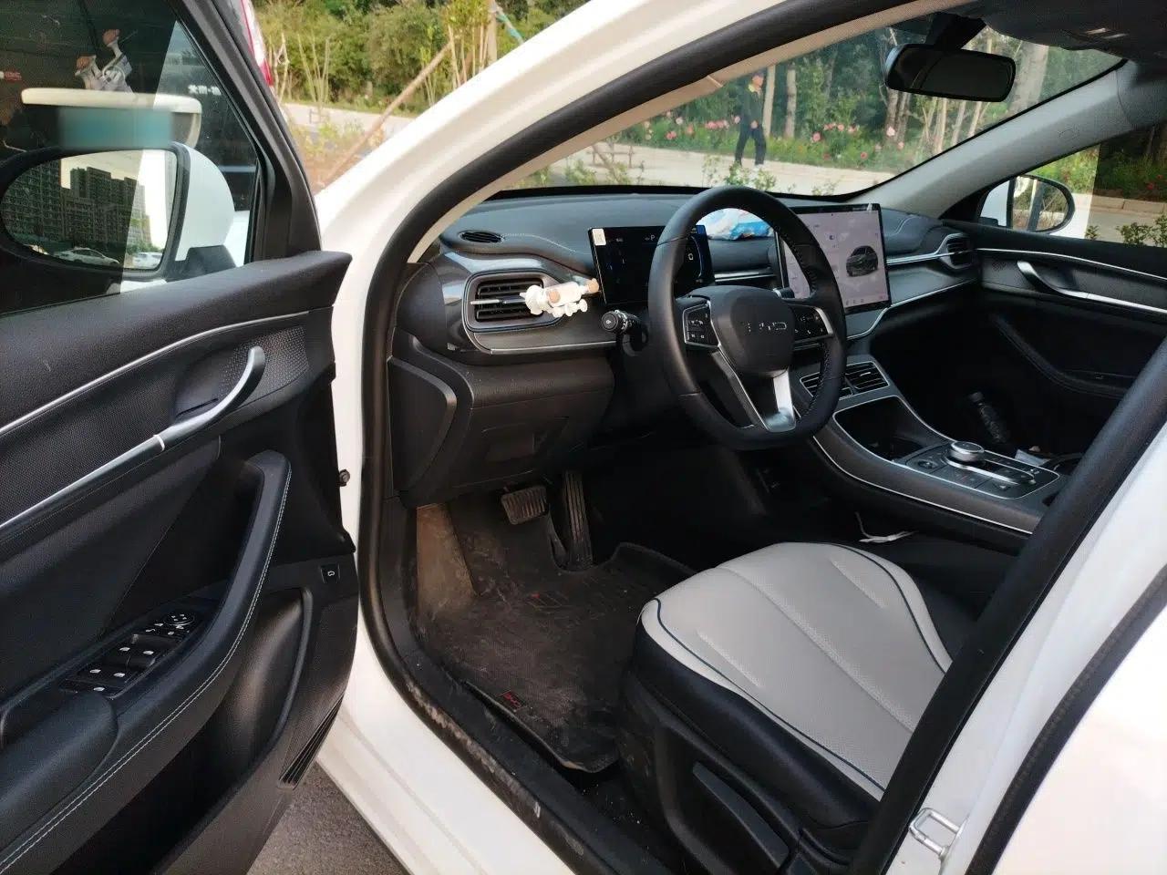 BYD Destroyer 05 2024 HONOR Edition DM-i 55KM Luxury Model — миниатюра 17