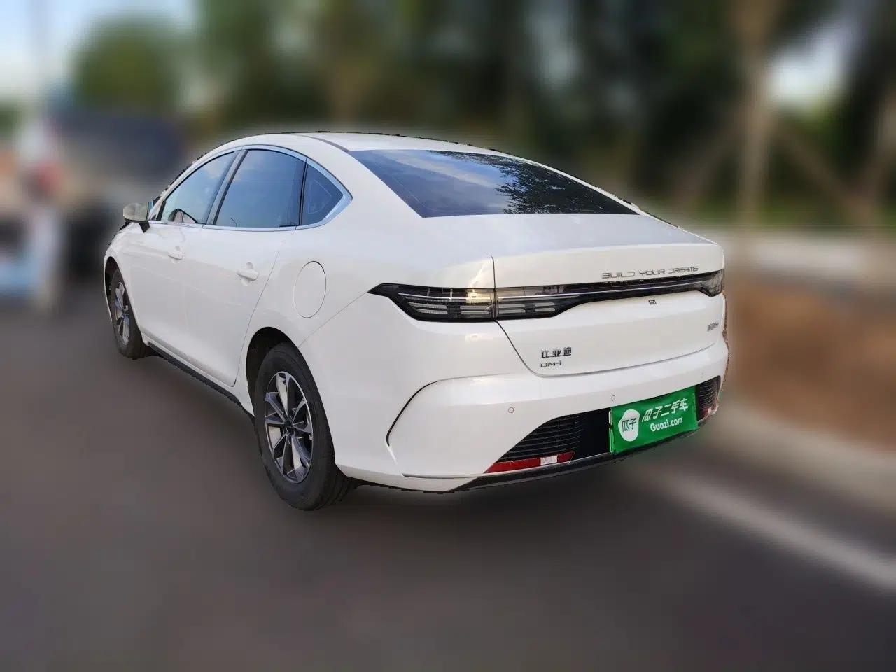 BYD Destroyer 05 2024 HONOR Edition DM-i 55KM Luxury Model — миниатюра 4