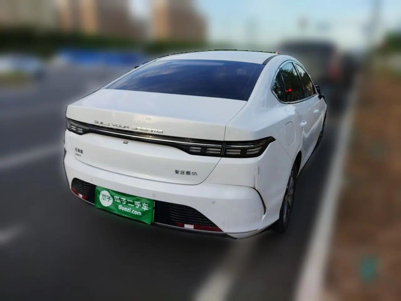 BYD Destroyer 05 2024 HONOR Edition DM-i 55KM Luxury Model — миниатюра 6