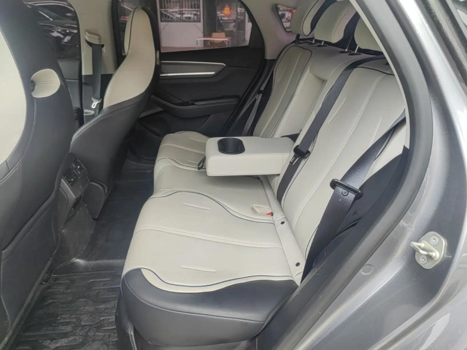 BYD Destroyer 05 2023 Champion Edition DM-i 120KM Prestige Model — миниатюра 20