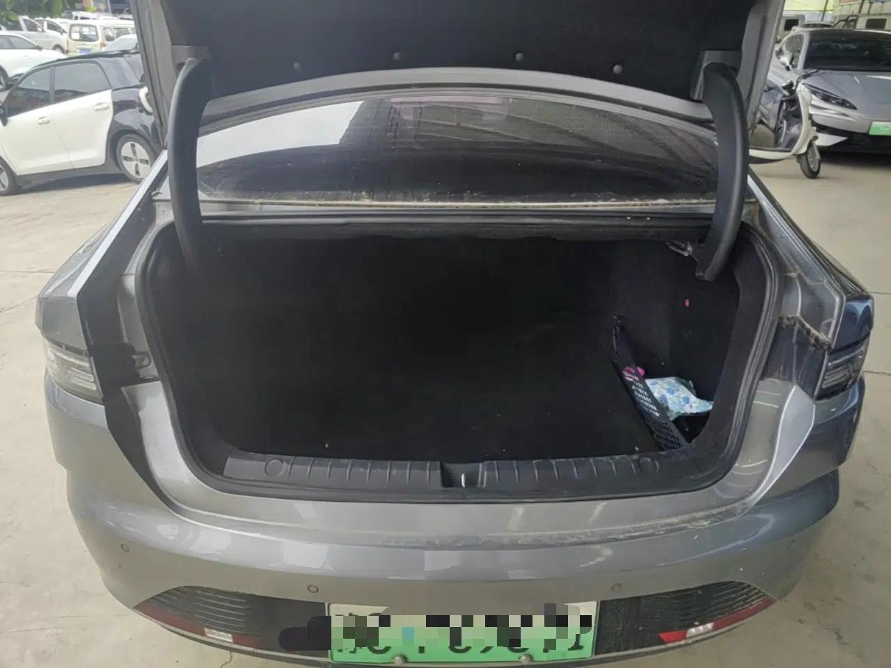 BYD Destroyer 05 2023 Champion Edition DM-i 120KM Prestige Model — миниатюра 22