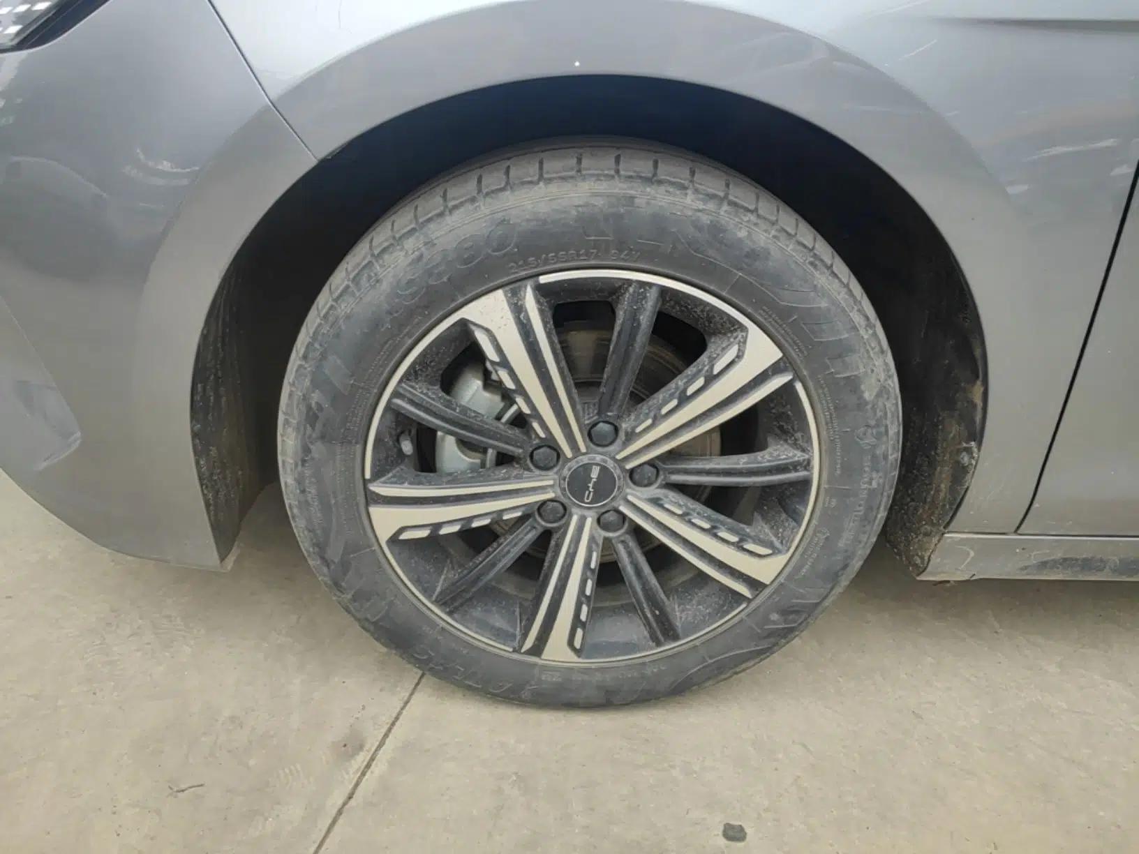 BYD Destroyer 05 2023 Champion Edition DM-i 120KM Prestige Model — миниатюра 8