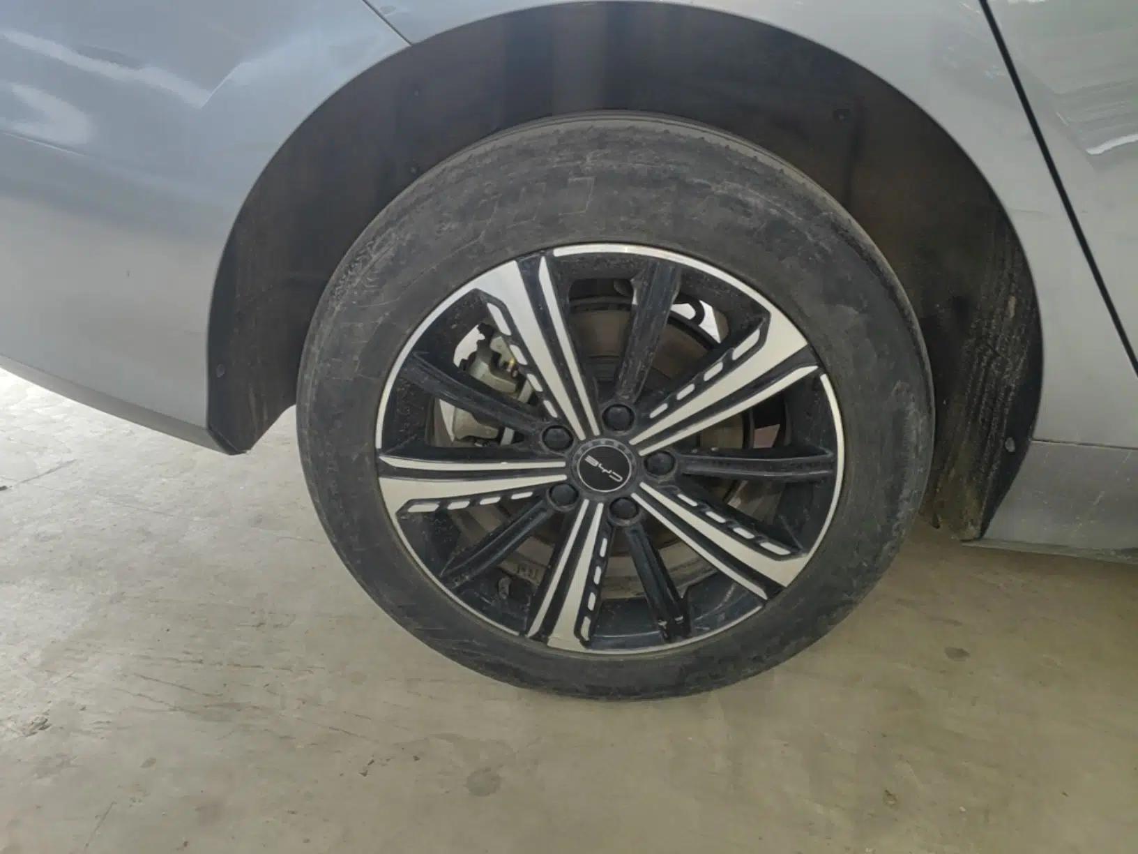 BYD Destroyer 05 2023 Champion Edition DM-i 120KM Prestige Model — миниатюра 10