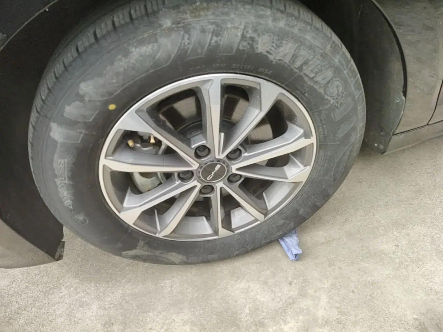 BYD Destroyer 05 2024 HONOR Edition DM-i 55KM Luxury Model — миниатюра 8