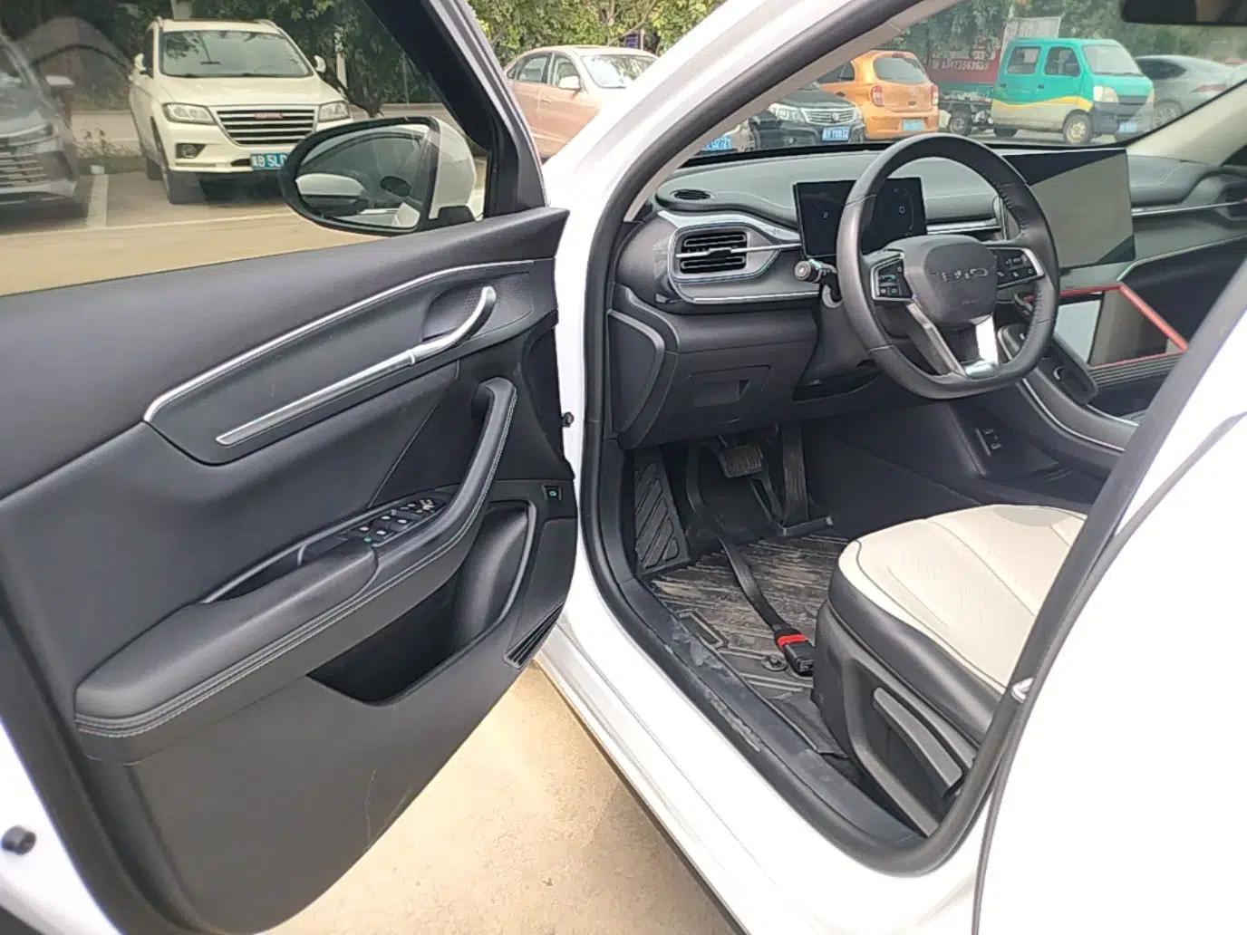 BYD Destroyer 05 2024 HONOR Edition DM-i 55KM Luxury Model — миниатюра 19