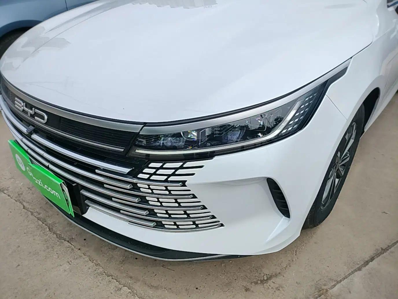 BYD Destroyer 05 2024 HONOR Edition DM-i 55KM Luxury Model — миниатюра 9