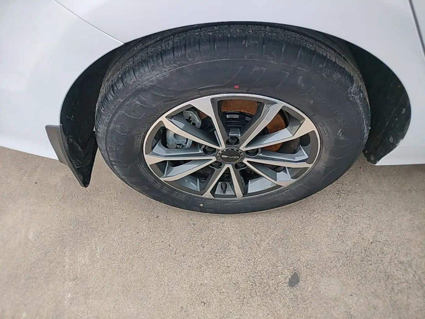 BYD Destroyer 05 2024 HONOR Edition DM-i 55KM Luxury Model — миниатюра 10