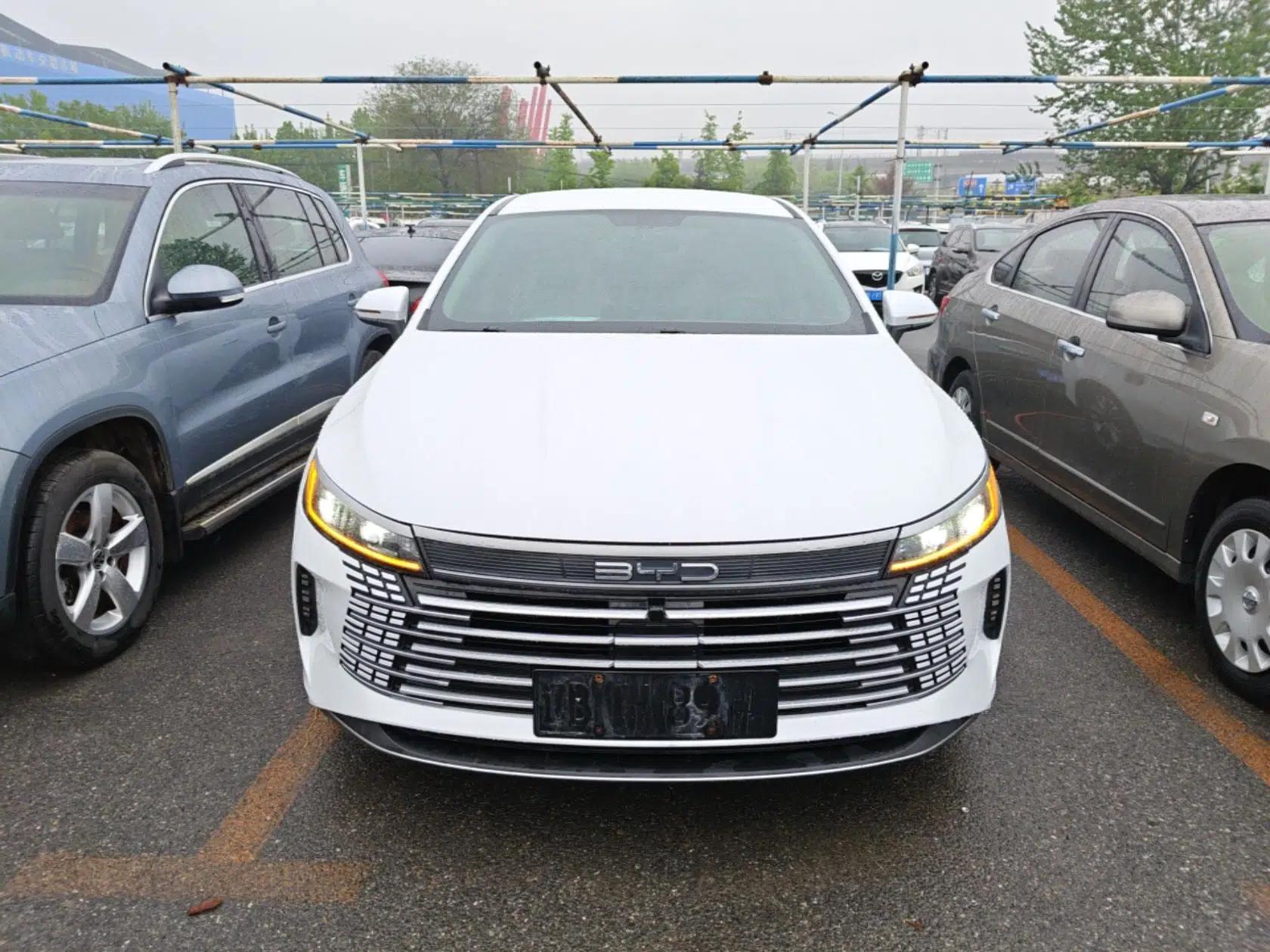 BYD Destroyer 05 2024 HONOR Edition DM-i 55KM Luxury Model — миниатюра 2