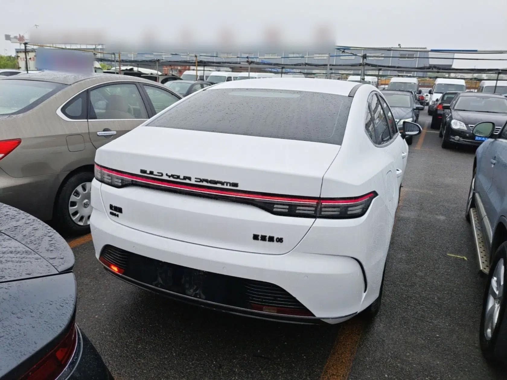 BYD Destroyer 05 2024 HONOR Edition DM-i 55KM Luxury Model — миниатюра 6