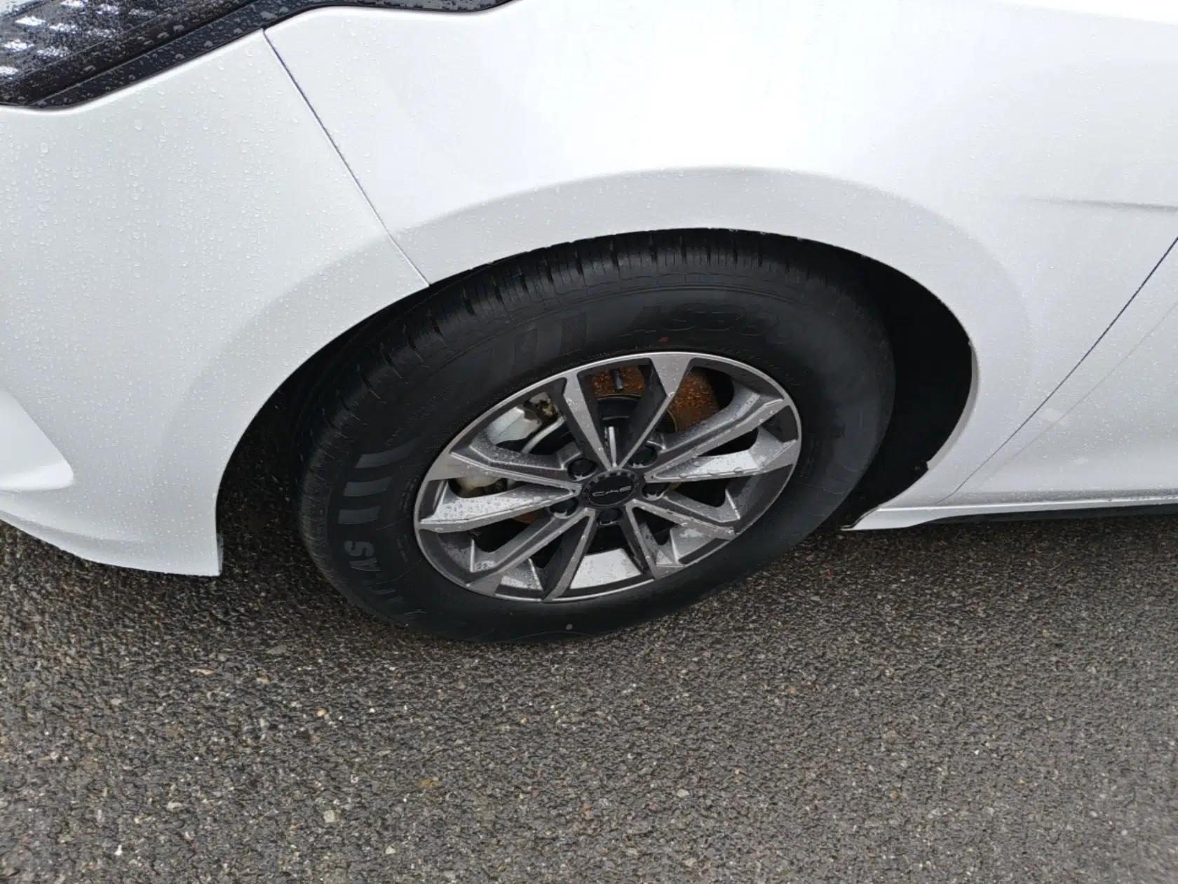 BYD Destroyer 05 2024 HONOR Edition DM-i 55KM Luxury Model — миниатюра 8