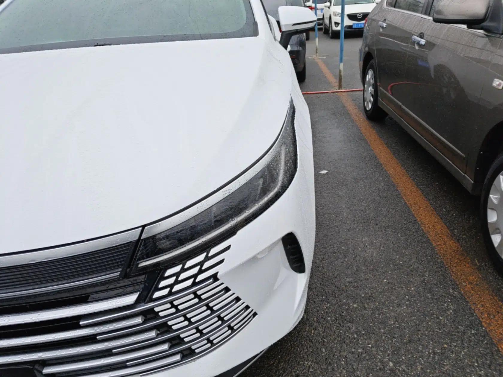 BYD Destroyer 05 2024 HONOR Edition DM-i 55KM Luxury Model — миниатюра 9