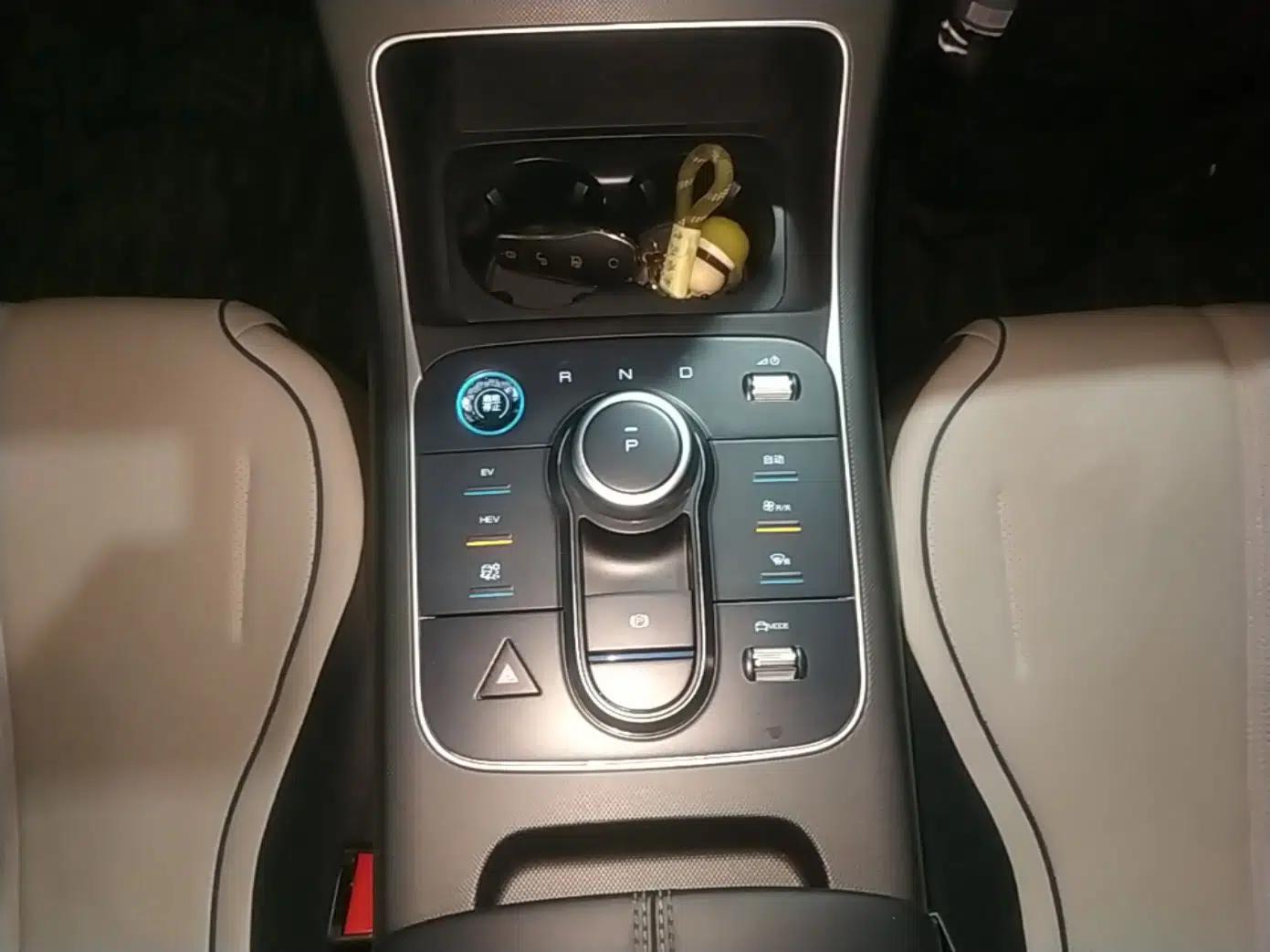 BYD Destroyer 05 2024 HONOR Edition DM-i 55KM Luxury Model — миниатюра 17