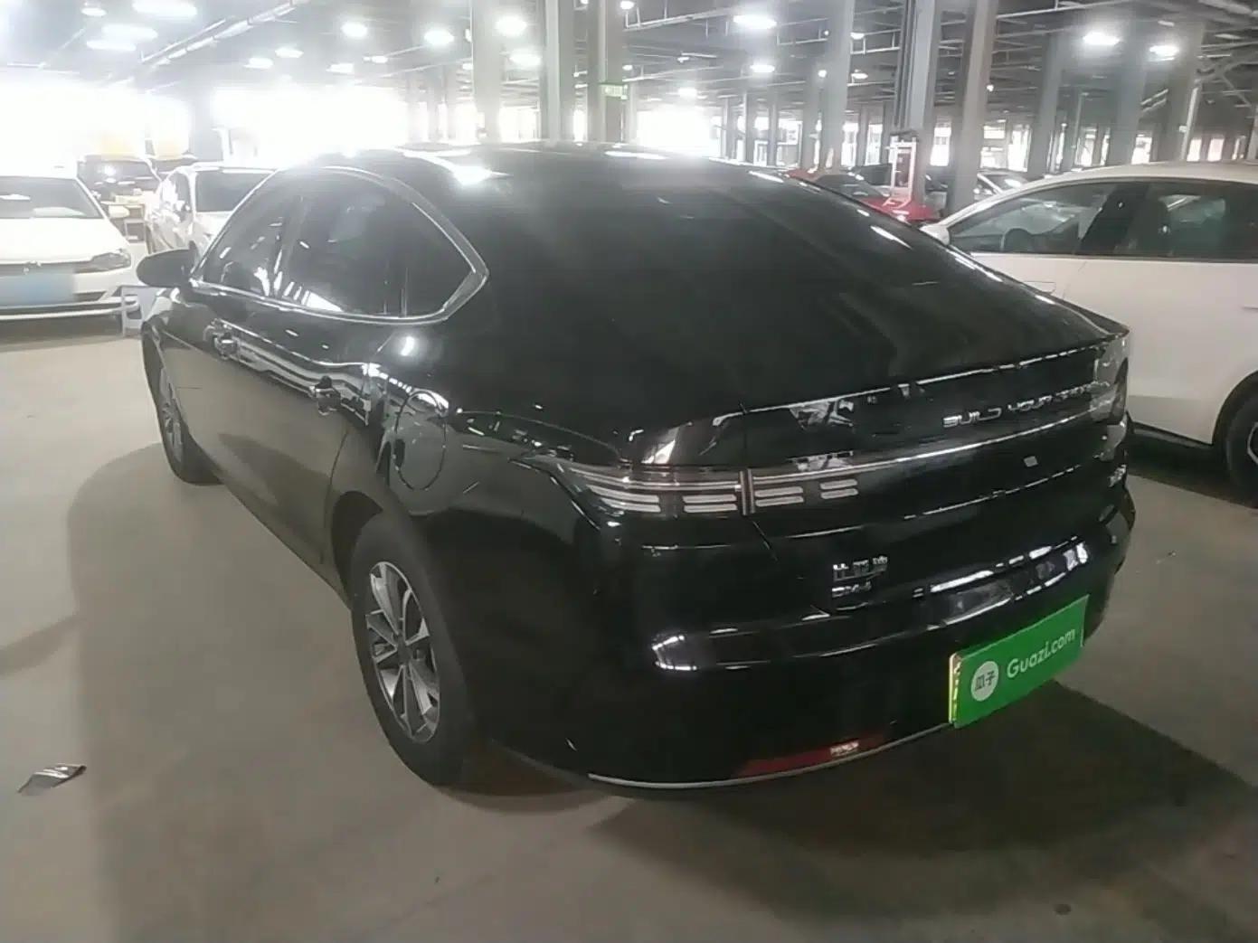 BYD Destroyer 05 2024 HONOR Edition DM-i 55KM Luxury Model — миниатюра 4
