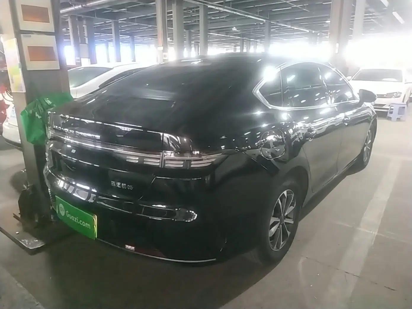 BYD Destroyer 05 2024 HONOR Edition DM-i 55KM Luxury Model — миниатюра 6