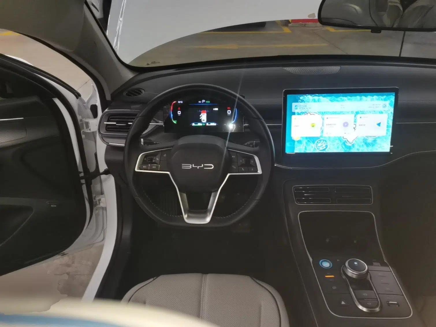 BYD Destroyer 05 2024 HONOR Edition DM-i 55KM Luxury Model — миниатюра 13