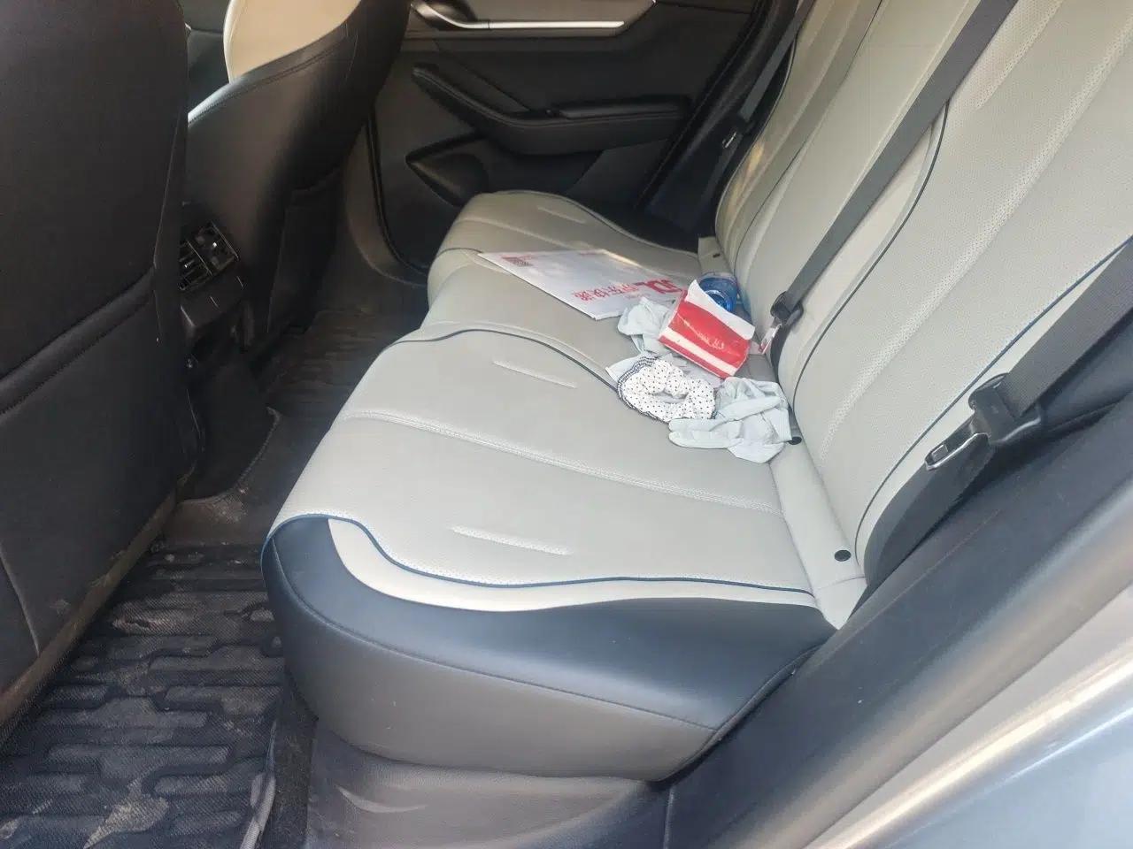 BYD Destroyer 05 2024 HONOR Edition DM-i 55KM Luxury Model — миниатюра 18