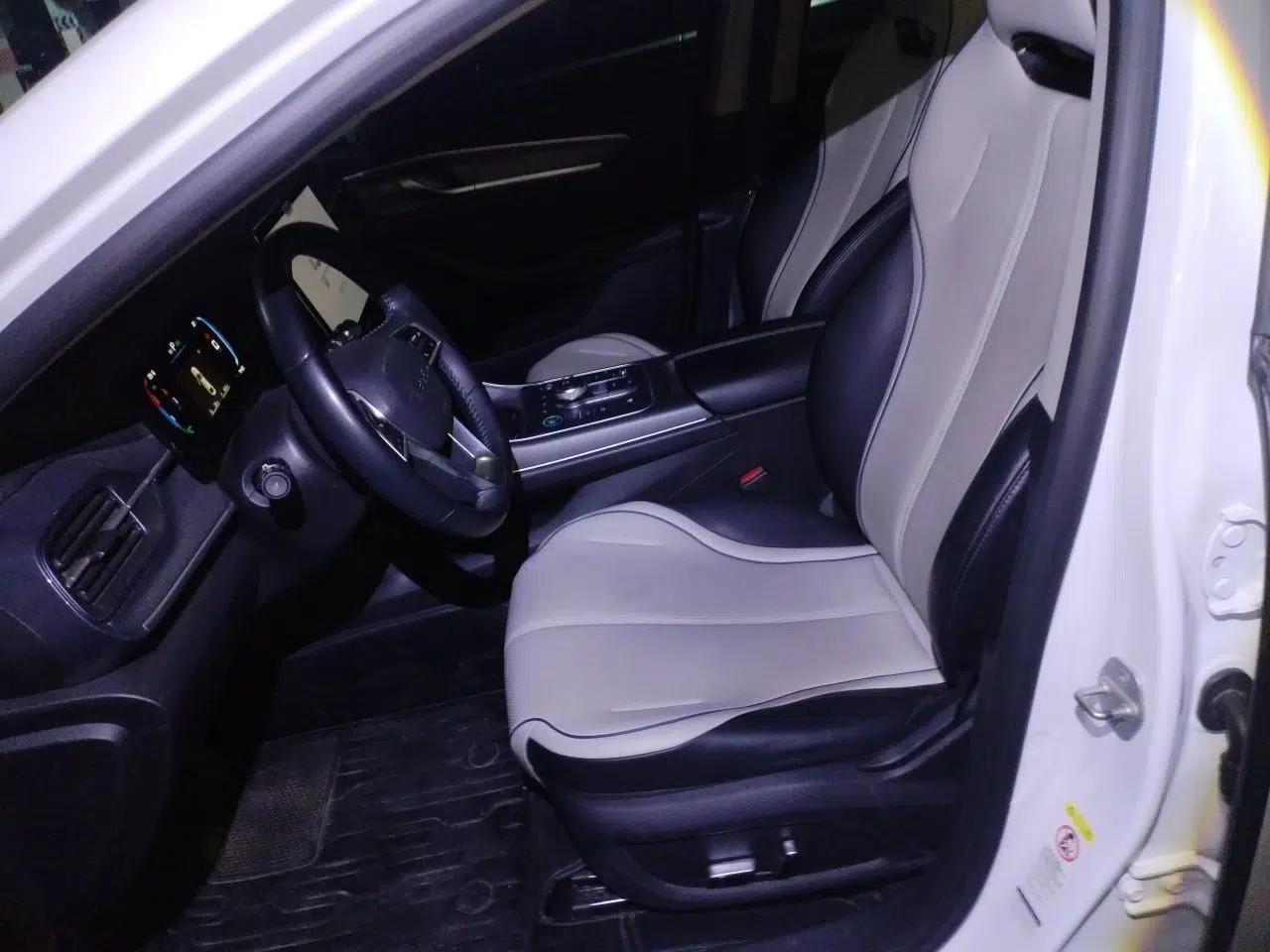 BYD Destroyer 05 2023 Champion Edition DM-i 120KM Prestige Model — миниатюра 16