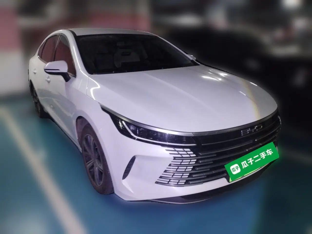 BYD Destroyer 05 2023 Champion Edition DM-i 120KM Prestige Model — миниатюра 3