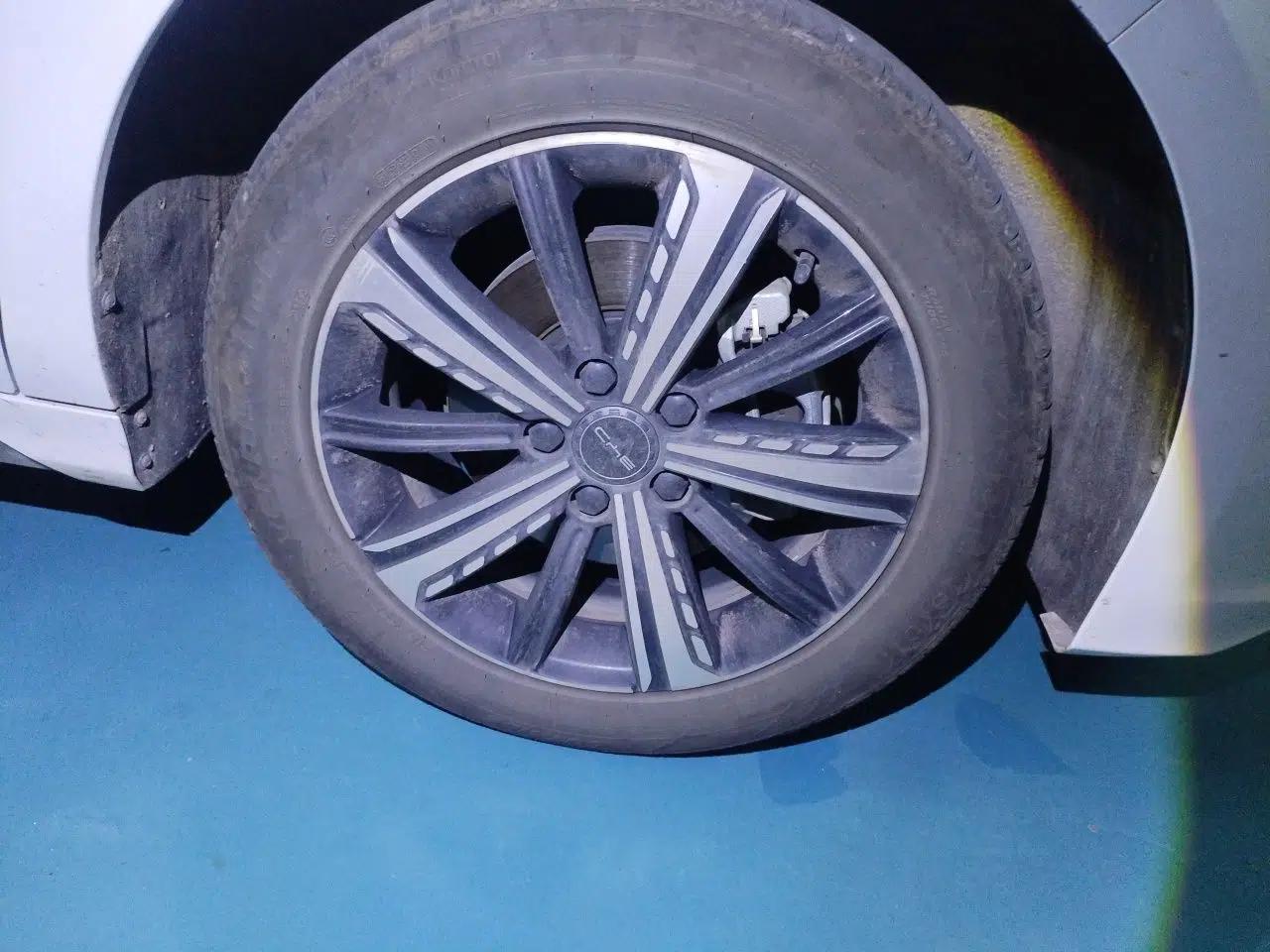 BYD Destroyer 05 2023 Champion Edition DM-i 120KM Prestige Model — миниатюра 8