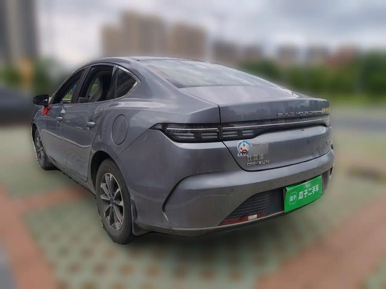 BYD Destroyer 05 2024 HONOR Edition DM-i 55KM Luxury Model — миниатюра 4