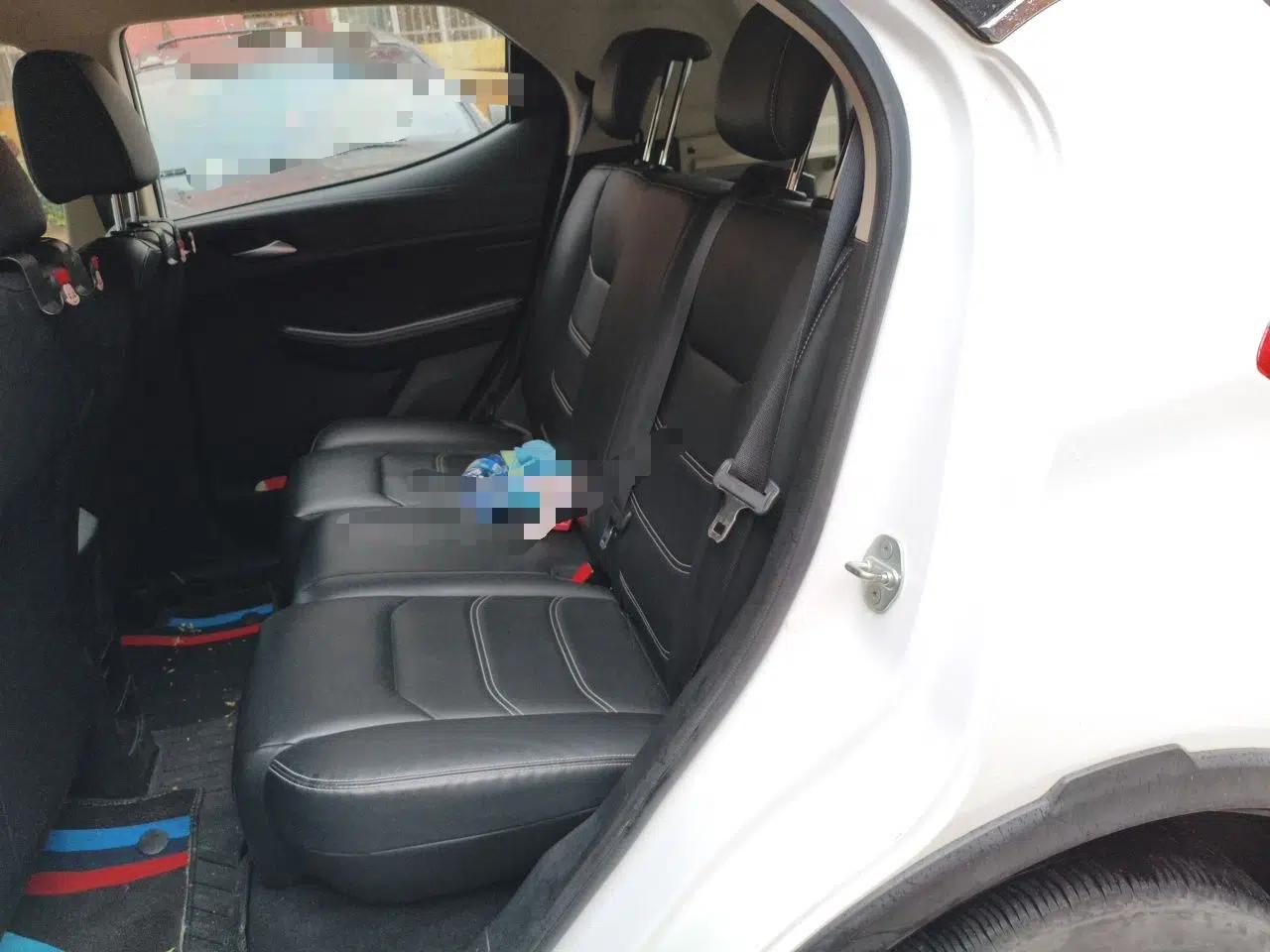 BYD Yuan New Energy 2019 EV535 Smart Connect Trendsetting Model — миниатюра 18