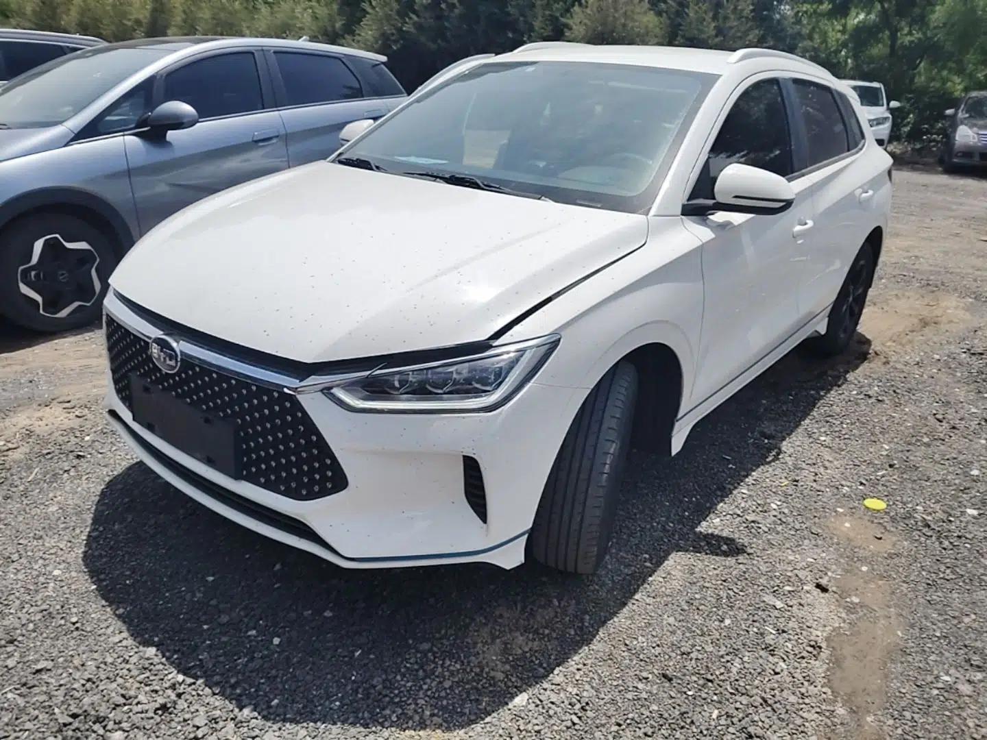 BYD e2 2020 Upgraded Version Long-Range Edition Luxury Model — миниатюра 1