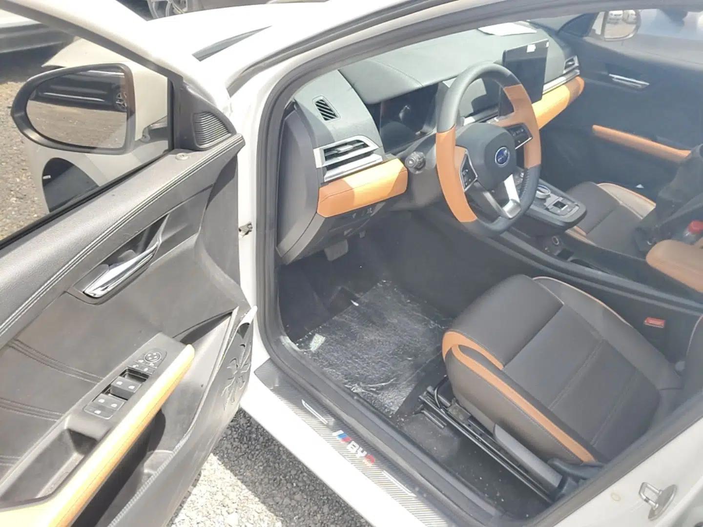 BYD e2 2020 Upgraded Version Long-Range Edition Luxury Model — миниатюра 19
