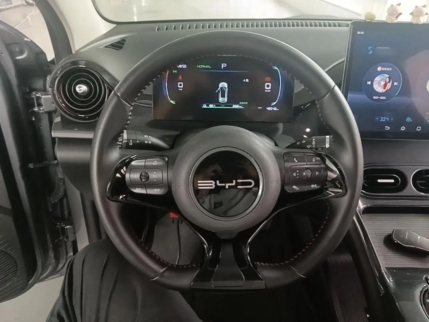 BYD e2 2023 Luxury Model — миниатюра 13