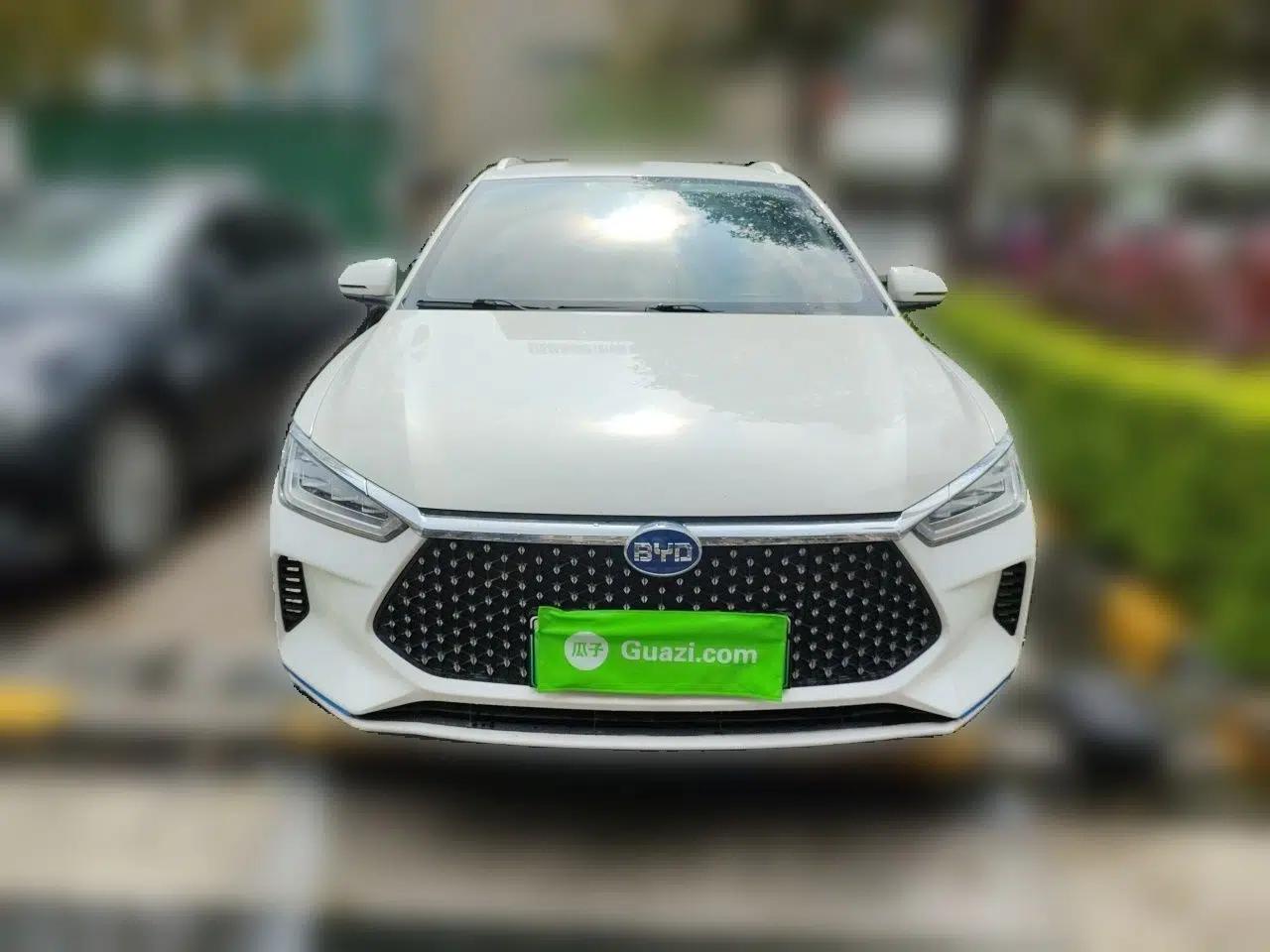 BYD e2 2021 Luxury Model — миниатюра 2
