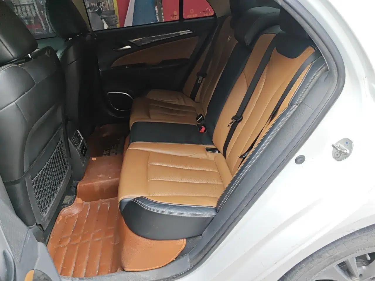 BYD Qin New Energy 2017 1.5T Luxury Model — миниатюра 18