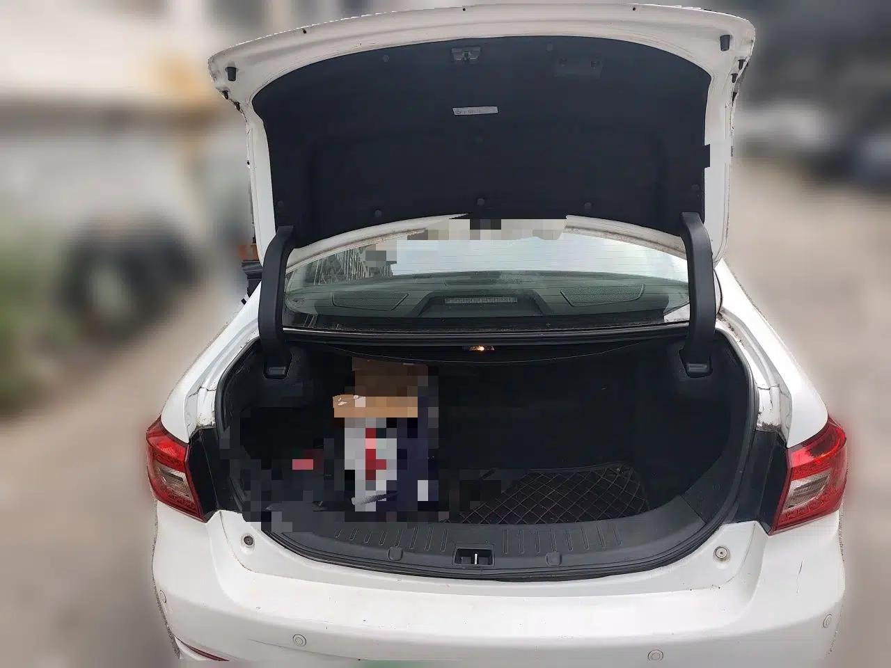 BYD Qin New Energy 2015 1.5T Dual-Crown Flagship Edition — миниатюра 20