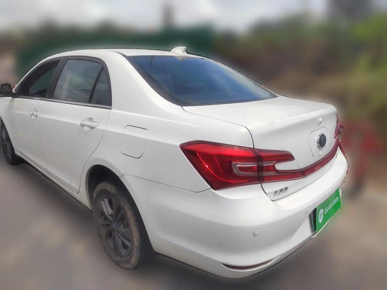 BYD Qin New Energy 2017 1.5T Luxury Model — миниатюра 4