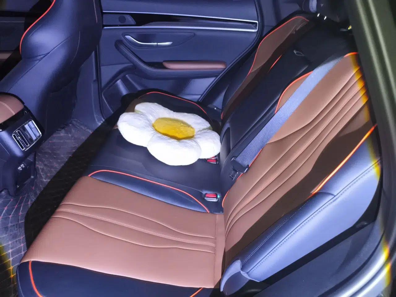BYD Song PLUS 2020 1.5T Automatic Prestige Version — миниатюра 18
