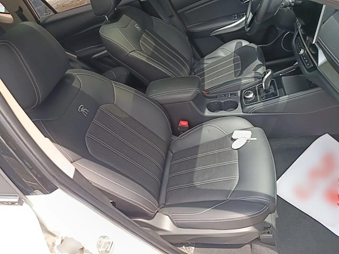 BYD Song New Energy 2019 Song EV500 Smart Connect Luxe Model — миниатюра 23