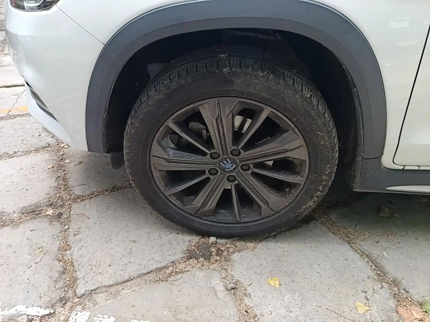 BYD Song New Energy 2019 Song EV500 Smart Connect Luxe Model — миниатюра 9