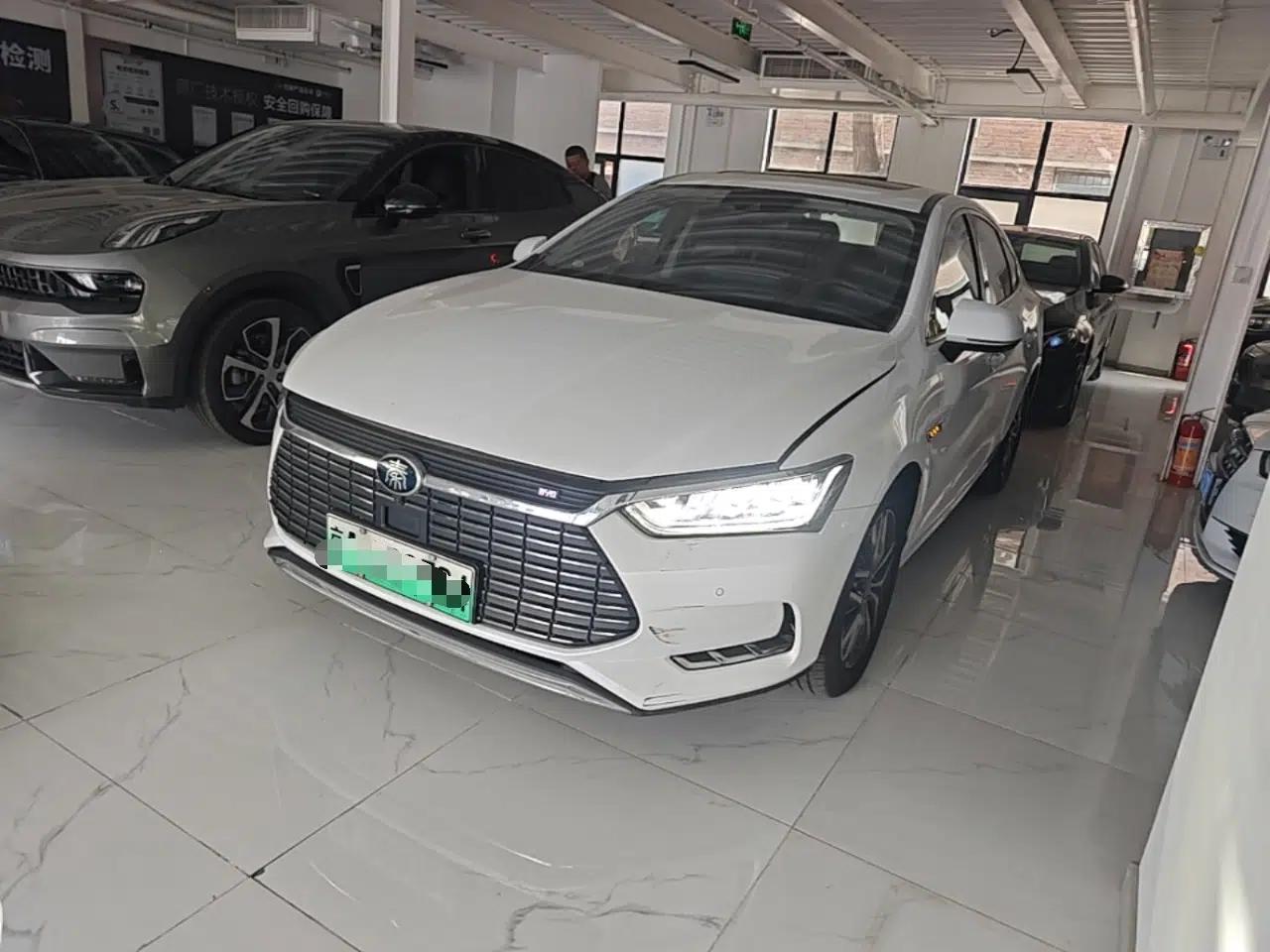 BYD Qin Pro New Energy 2018 EV500 Smart Connect Elite Model — миниатюра 1