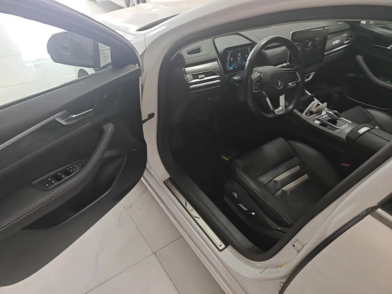 BYD Qin Pro New Energy 2018 EV500 Smart Connect Elite Model — миниатюра 19