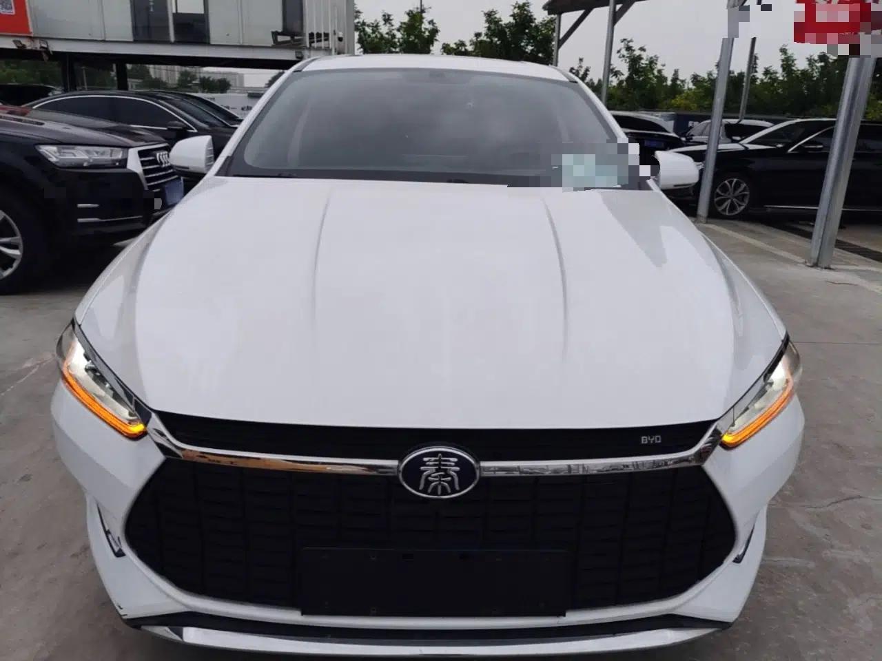 BYD Qin Pro New Energy 2019 EV Super Edition Standard Version Smart Connect Leading Style — миниатюра 2