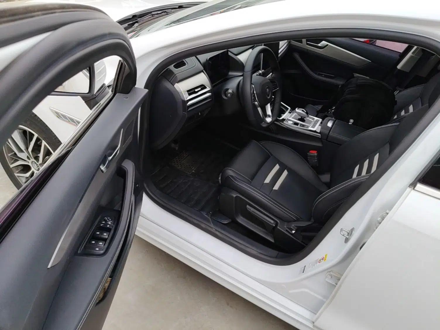 BYD Qin Pro New Energy 2019 EV Super Edition Standard Version Smart Connect Leading Style — миниатюра 19