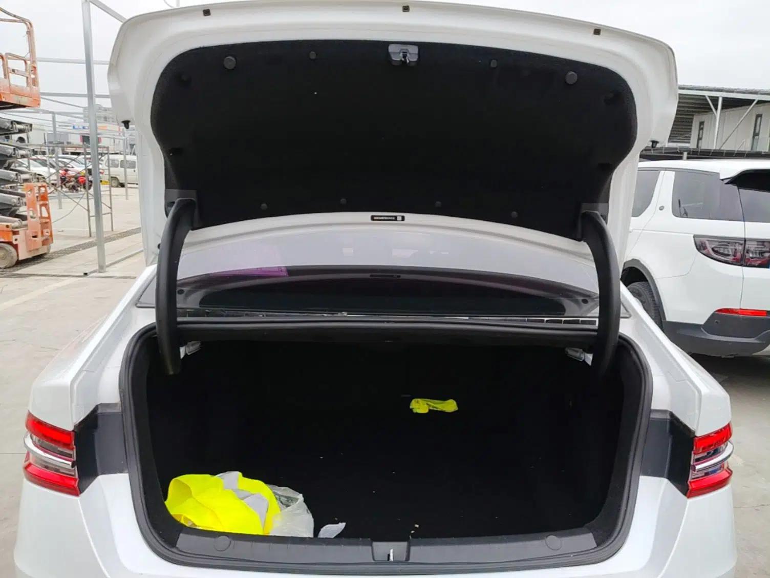 BYD Qin Pro New Energy 2019 EV Super Edition Standard Version Smart Connect Leading Style — миниатюра 22
