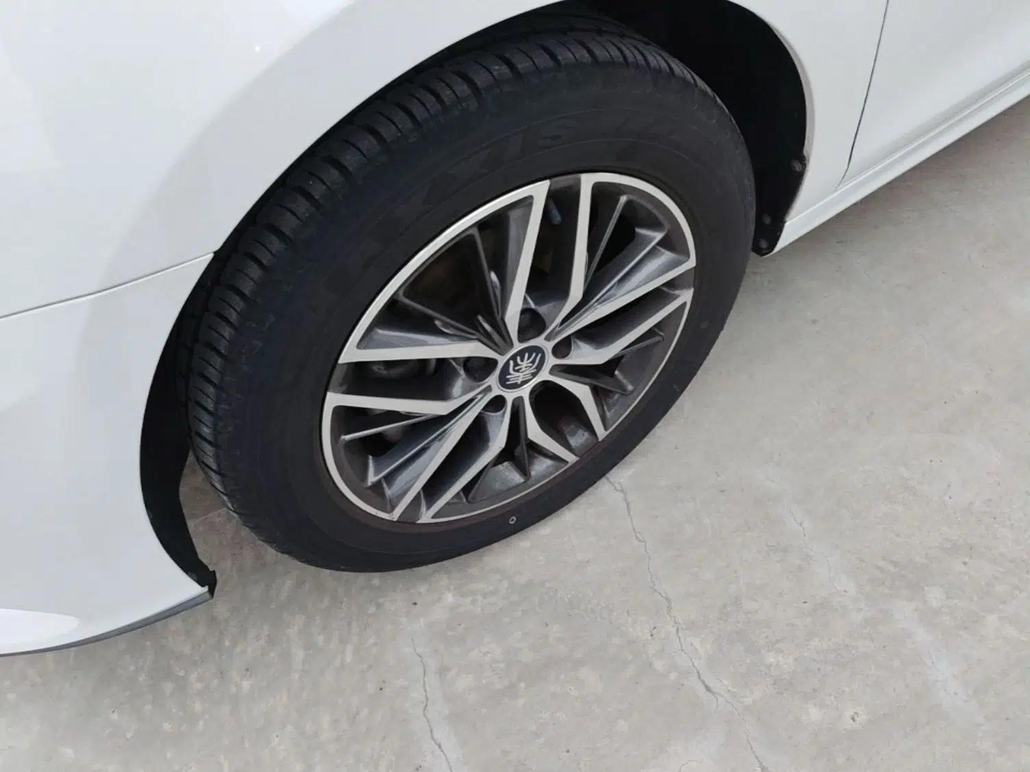 BYD Qin Pro New Energy 2019 EV Super Edition Standard Version Smart Connect Leading Style — миниатюра 8