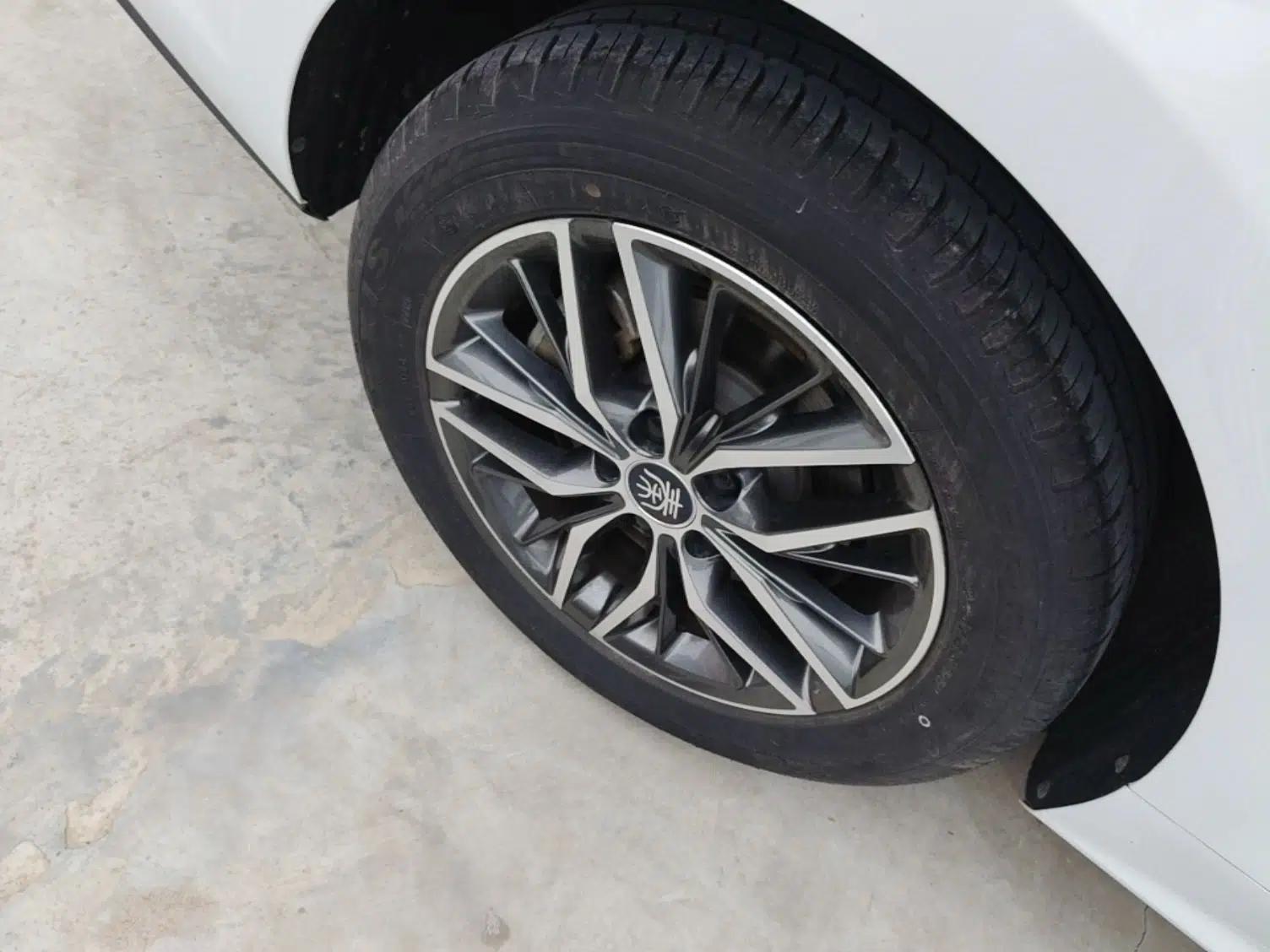 BYD Qin Pro New Energy 2019 EV Super Edition Standard Version Smart Connect Leading Style — миниатюра 10